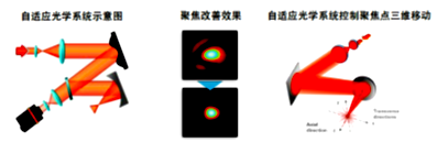 blob.png